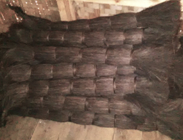 arenga gumati tebuan